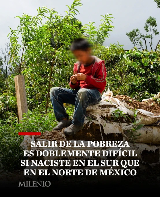 Movilidad social en México 2025.