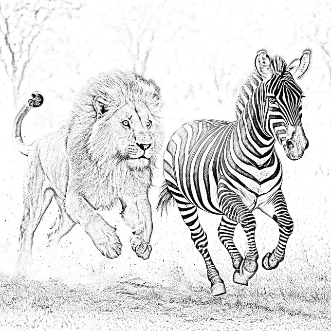 Lion hunting zebra in the forest 