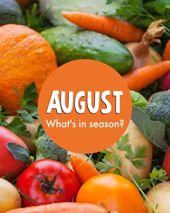 Colourful display of fresh vegetables including carrots, tomatoes and cucumbers, with a text overlay reading 'AUGUST What's in season?'