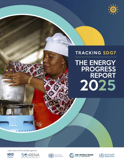 Tracking SDG7: The Energy Progress Report 2025