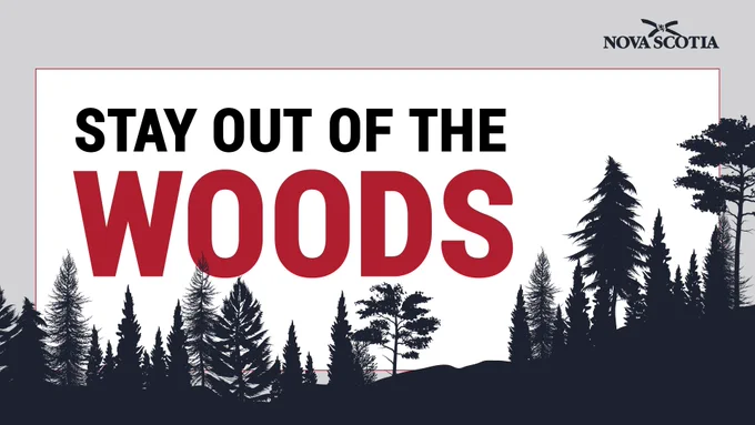 Graphic of black trees and the words Stay out of the Woods
 

