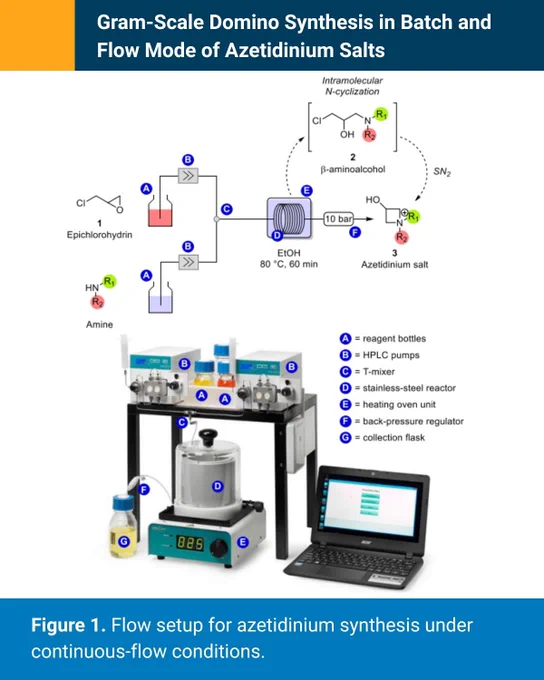 Alessandra Sivo, Vincenzo Ruta and Gianvito Vilé have established an efficient continuous flow process for synthesising azetidinium salts via the aminolysis of epichlorohydrin using FlowLab from Asynt