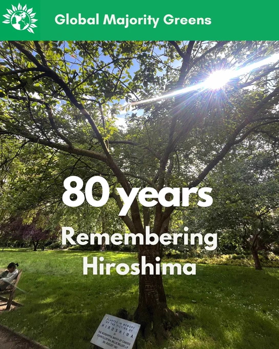 The tree at Tavistock Square, London, planted in memory of Hiroshima, in 1967. The sun is shining through its leaves.