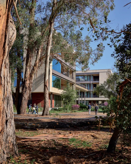View of Stanford University campus framed by eucalyptus trees, with students walking near modern academic buildings.