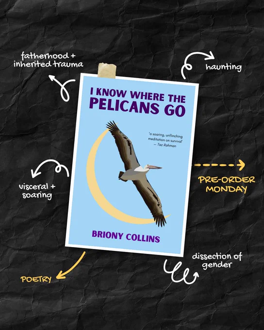 Cover of I Know Where the Pelicans Go with annotations that read:

Haunting
Preorder now
Dissection of gender
Poetry
Visceral and soaring
Fatherhood and inherited trauma