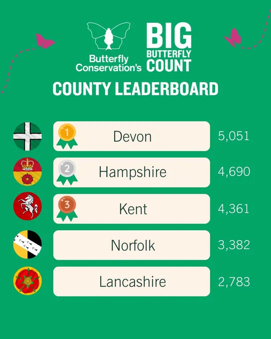 Butterfly Conservation's Big Butterfly Count County Leaderboard, featuring the top five counties with the most submitted counts. Devon in first with 5,051 counts, Hampshire in second with 4,690 counts, Kent in third with 4,361 counts, Norfolk in fourth with 3,382 counts, and Lancashire in fifth with 2,783 counts.