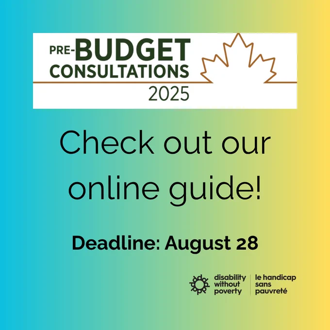 Text: Pre-budget consultations 2025. Check out our online guide! Deadline: August 28
