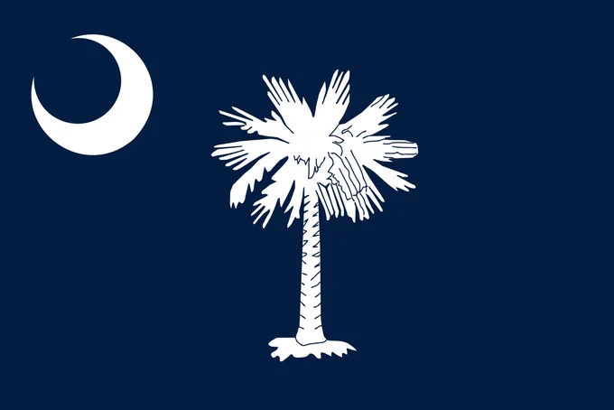 The flag of South Carolina, a white crescent and a palm tree on a dark blue background