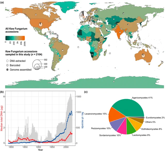 The spatial, temporal and taxonomic distribution of the 2104 fungarium specimens involved in this study.