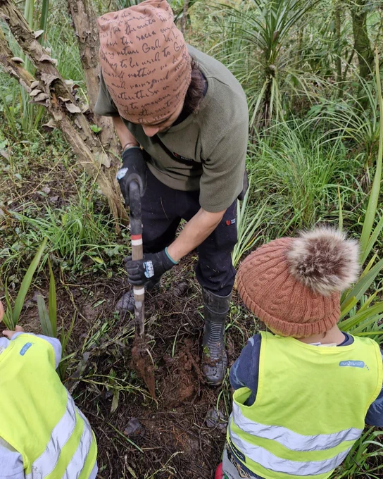 Forest Program for Kids