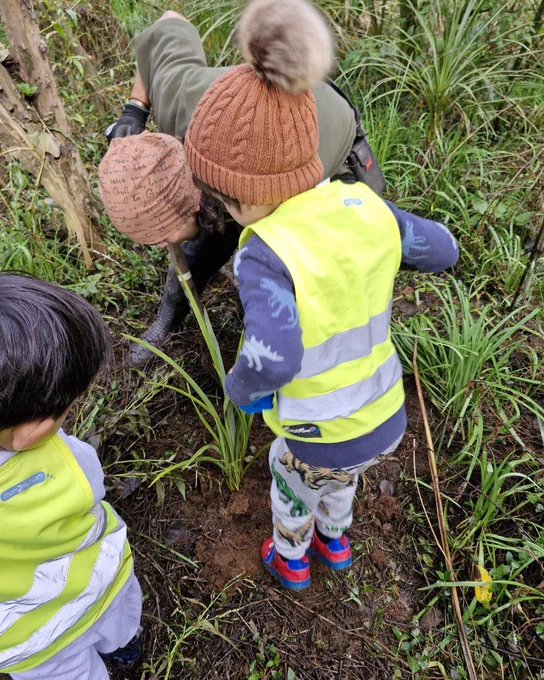 Kids Planting Tree
