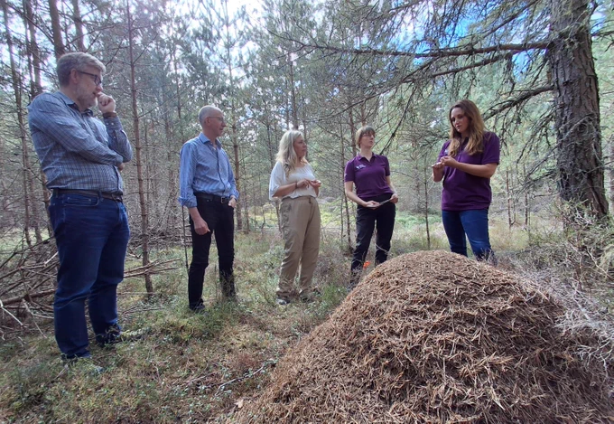 Climate Action Cabinet Secretary Gillian Martin being shown an ants nest in the Cairngorms National Park.