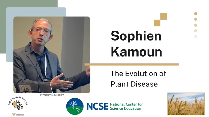Promotional graphic for a lecture by Sophien Kamoun titled The Evolution of Plant Disease. On the left, Kamoun is shown speaking at a podium, gesturing with one hand. On the right, the text reads “Sophien Kamoun – The Evolution of Plant Disease.” Logos for Vanderbilt Evolutionary Studies and the National Center for Science Education appear at the bottom, along with a small photo of a wheat field.