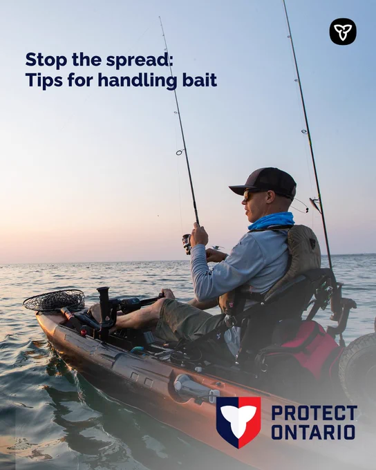 Man fishing from a kayak. Text reads, “Stop the spread: Tips for handling bait” 