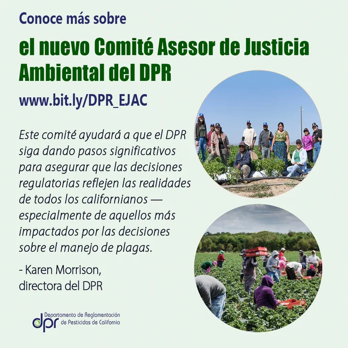 Two photos of farmworkers and text: Conoce más sobre el nuevo Comité Asesor de Justicia Ambiental del DPR. www.bit.ly/DPR_EJAC
Karen Morrison, directora del DPR: “Este comité ayudará a que el DPR siga dando pasos significativos para asegurar que las decisiones regulatorias reflejen las realidades de todos los californianos — especialmente de aquellos más impactados por las decisiones sobre el manejo de plagas.”
