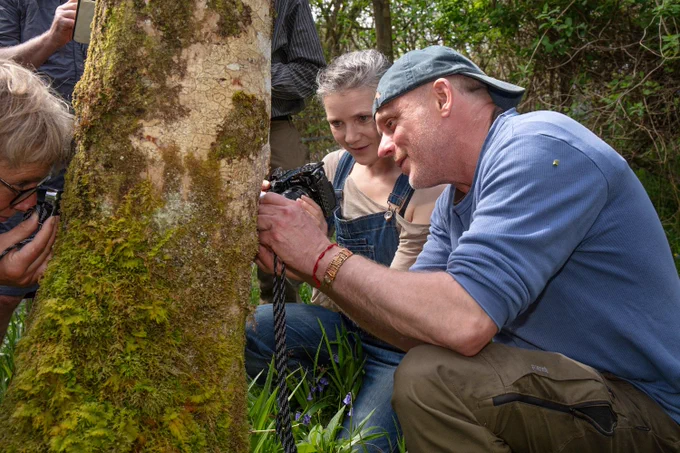 People looking at lichens on a tree