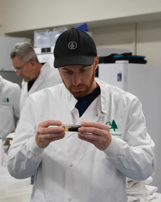 Man looking at pest sample in a test tube. 