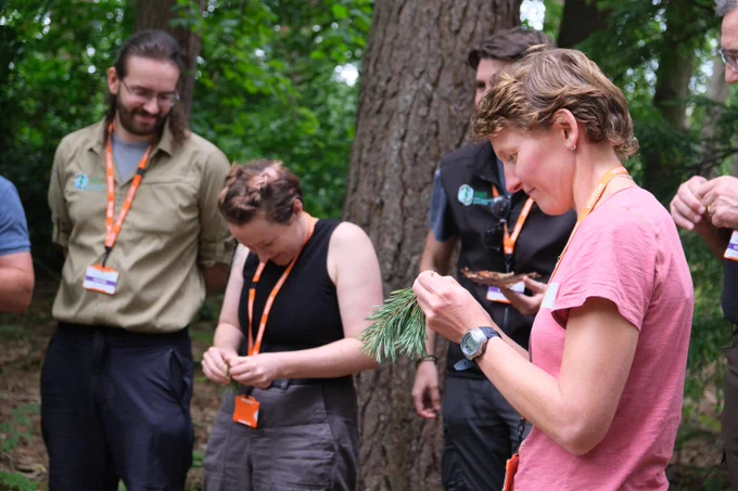 People looking for pests in foliage samples 