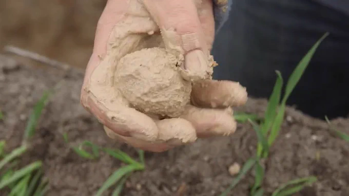 An image (video still) of a soil bolus. From Soil Quality: 2 Integrated Soil Management (Pluske et al. 2018)