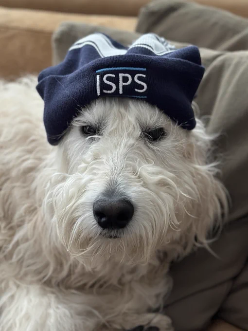 A dog wearing an ISPS knit cap