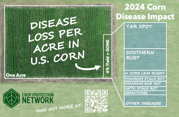 Graphic showing an acre of corn and the 6 percent that was lost due to disease. The top diseases were tar spot, southern rust and northern corn leaf blight. 