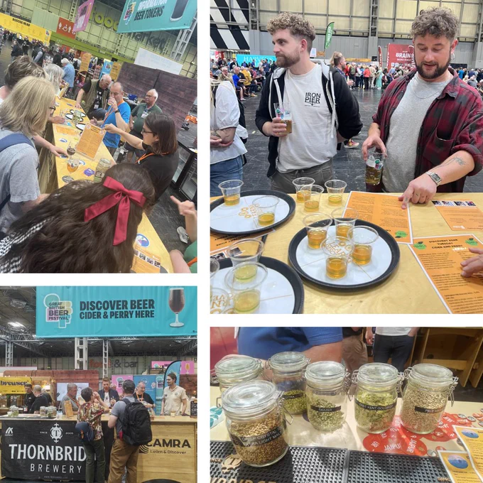 Four images at CAMRAs Great British Beer Festival Discovery Zone divided by three white lines across the graphic. Six jars of hops are in the bottom right image while the other three images capture volunteers delivering tastings to festivalgoers.