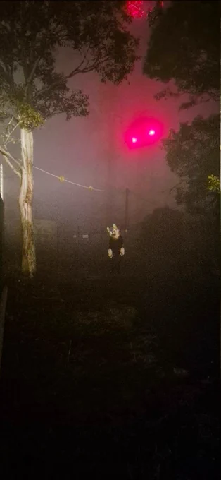 Headlights shining down a forested dead-end road, a lone fursuiter stands staring at the camera from a distance with the red glow of a radio tower in the background.