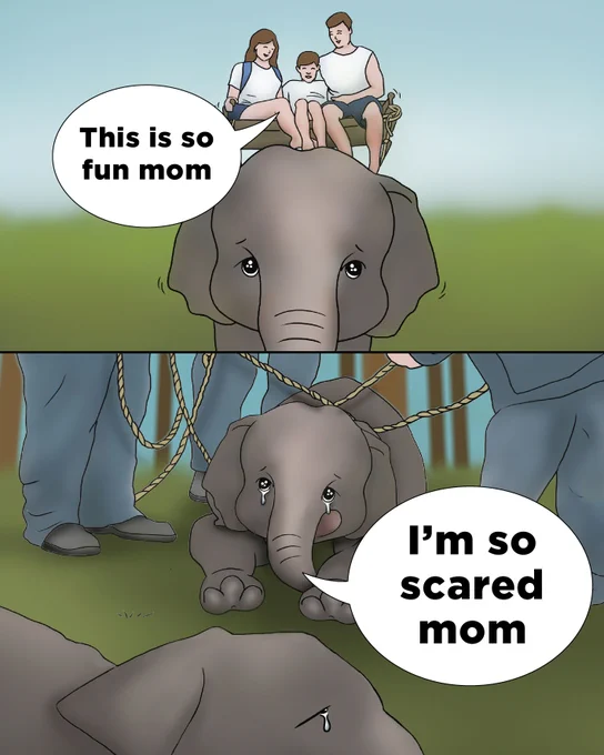 A two-panel cartoon. In the top panel, a man, woman, and child sit on the back of an elephant. The child says, “This is so fun mom.” In the bottom panel, a baby elephant is tied up with ropes and crying, saying, “I’m so scared mom.” The image contrasts human enjoyment with the suffering of elephants used for entertainment.