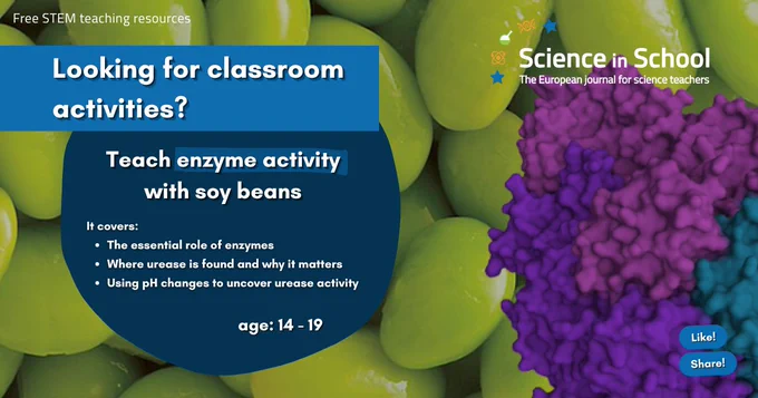 Text reads: Looking for classroom activities? Teach enzyme activity with soy beans. It covers the essential role of enzymes, where urease is found and why it matters and using pH changes to uncover urease activity. Free STEM teaching resource. Like and Share. Science in School. A photograph of soybeans in the background