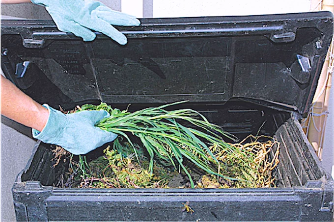 Green waste, weeds, clippings, trimmings and peelings of vegetables from the kitchen—all turn into excellent garden soil when you compost them. Organic matter, harmless soil bacteria, and earthworms convert green matter into rich compost in a matter of 2–3 months. Learn more t this link: 🔗https://grownbyyou.com/planting/sites-and-soils/ 
Copyright ©2001, 2025 by Dolezal & Associates. All Rights Reserved. grownbyyou.com 