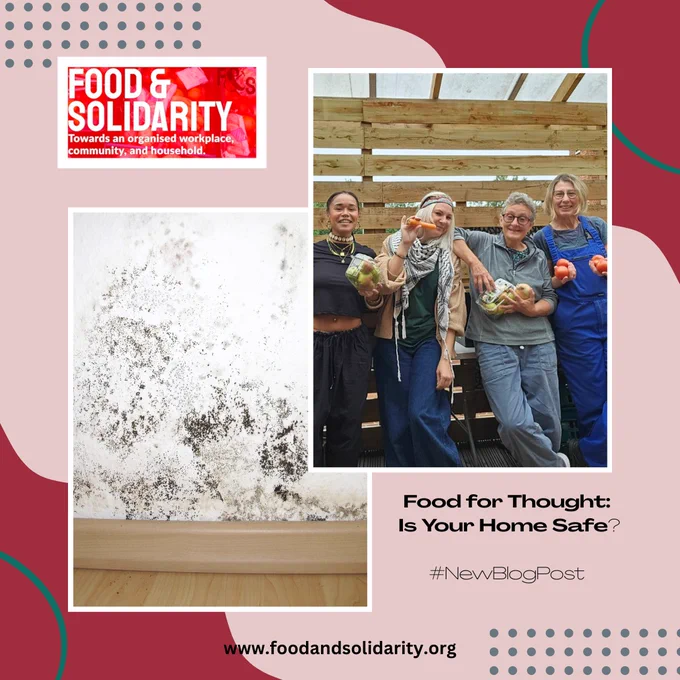 Promotional graphic for Food & Solidarity featuring three images: the organisation’s red and white logo with the slogan “Towards an organised workplace, community, and household,” a close-up of severe black mould growing along a white wall above a wooden skirting board, and four smiling people standing together holding fresh fruit and vegetables. Text reads: “Food for Thought: Is Your Home Safe? #NewBlogPost” with the website “www.foodandsolidarity.org” at the bottom. Background features pink and red abstract shapes with teal and grey dotted accents.