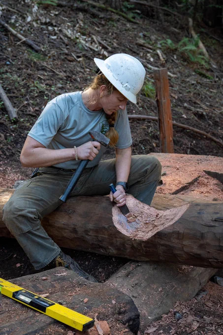 A person wearing a safety hat chops a log with an mallet and chisel in the woods.