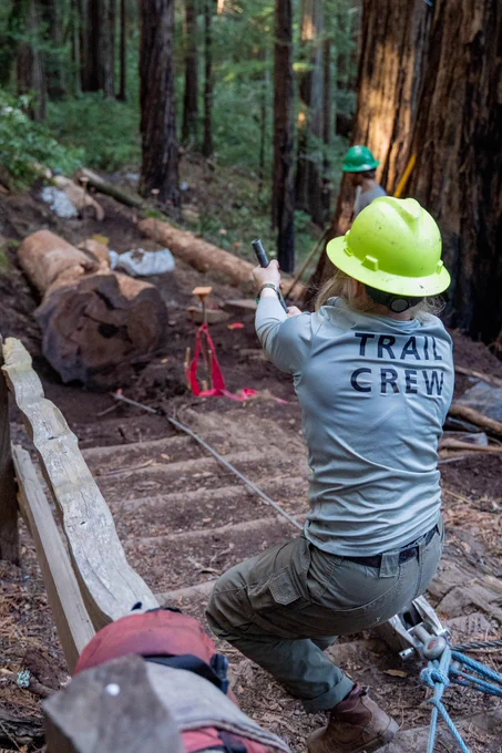People wearing a safety hats work around a log near steps in the woods.