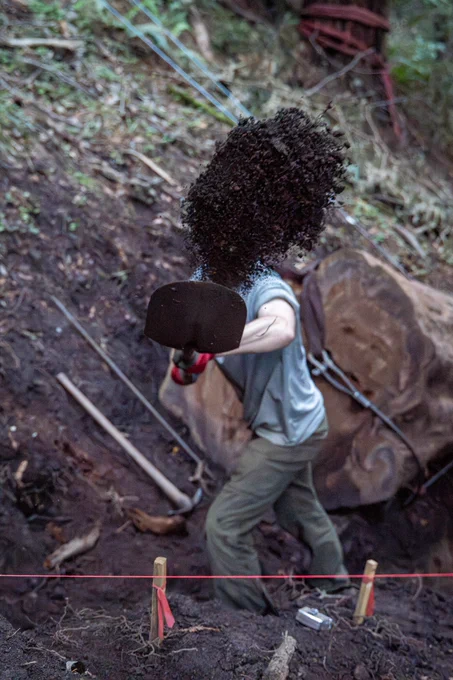 A person shovels dirt into the air.