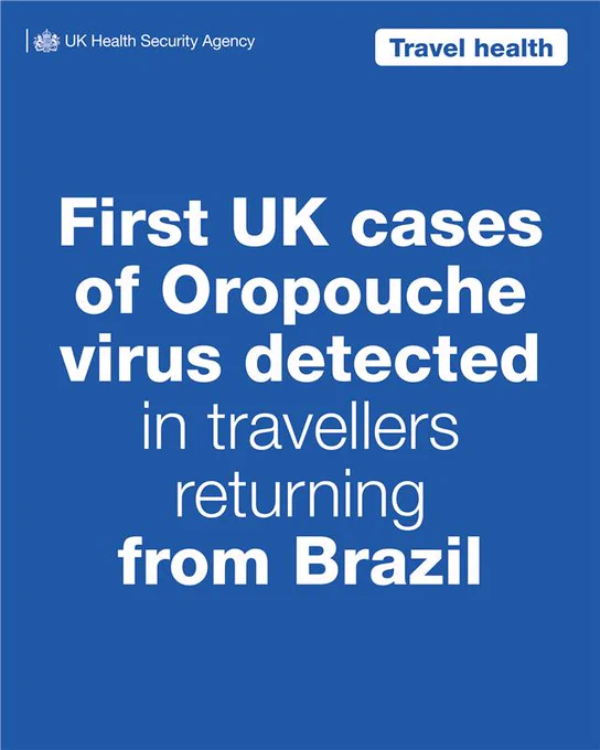 First UK cases of Oropouche virus detected in travellers returning from Brazil