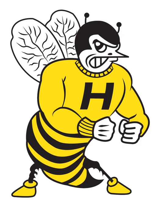 hornet photo