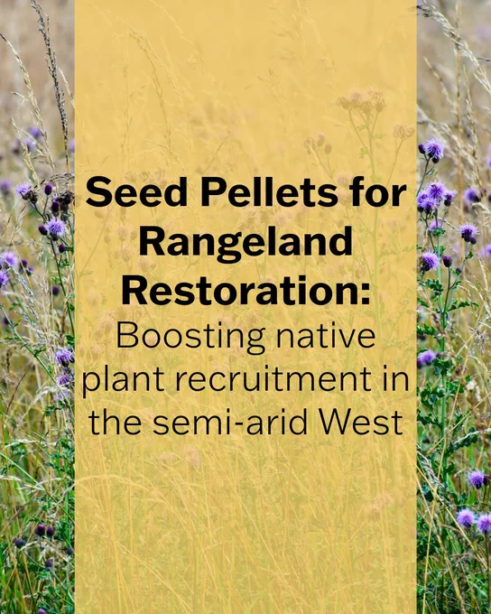 Seed Pellets for rangeland restoration: Boosting native plant recruitment in the semi-arid West.
