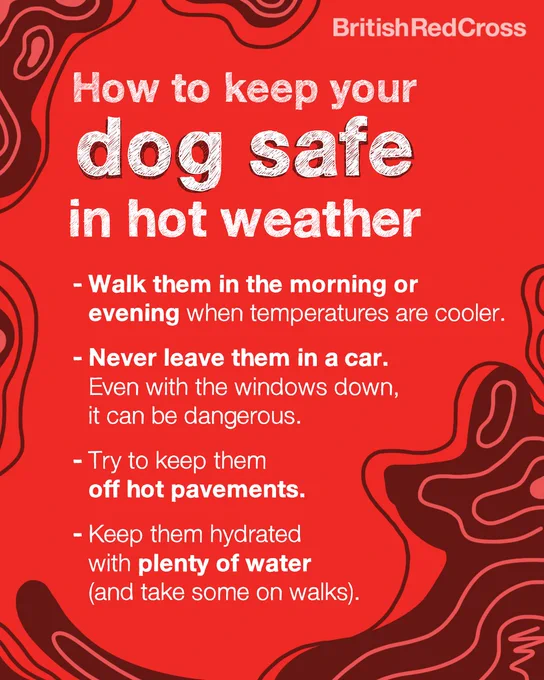 Top tips for how to keep your dog safe in hot weather. The tips are written as a list in white text on a red background. These read:
"- Walk them in the morning or evening when temperatures are cooler.
- Never leave them in a car. Even with the windows down, it can be dangerous. 
- Try to keep them off hot pavements.
- Keep them hydrated with plenty of water (and take some on walks)."