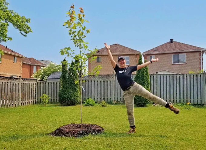 Someone smiles and stands on one leg next to a young and newly planted Freeman Maple tree. 