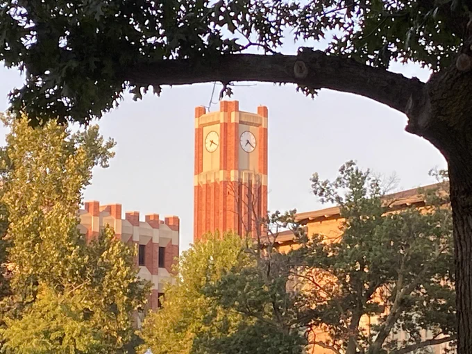 Photo of Clocktower of Bizzell Memorial Library from the north oval on OU campus. A large tree branch frames the image on top.

