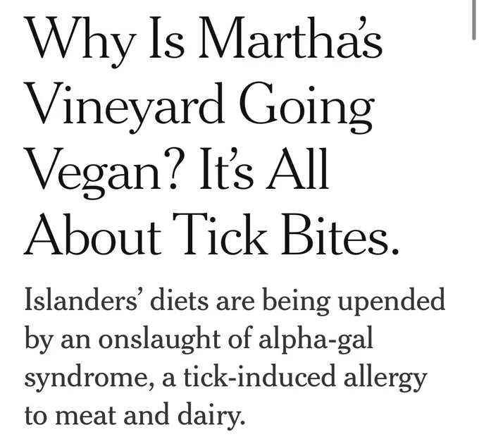 Why is Martha’s Vineyard going vegan? It’s all about tick bites— via New York Times.