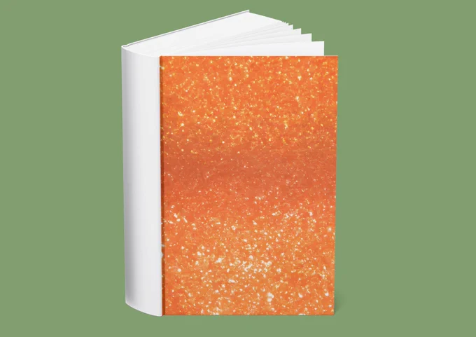 Taylor swifts book for her new album release. Sparkly orange book on mint background.