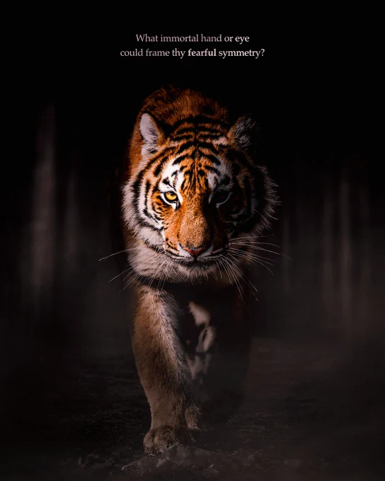 What immortal hand or eye could frame thy fearful symmetry?