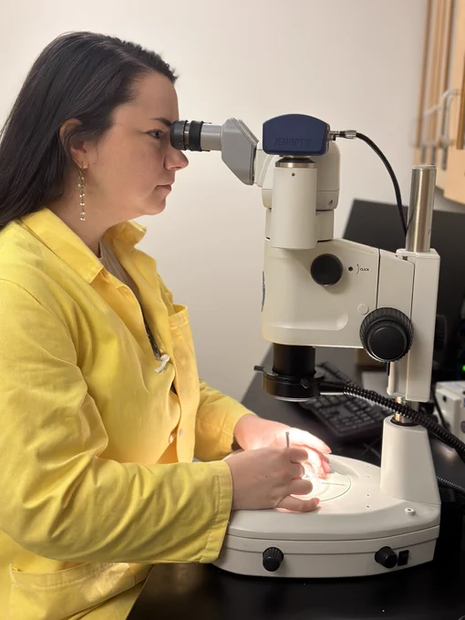 Woman looks through microscope