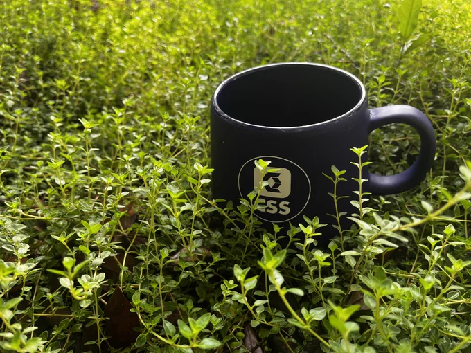 CSS mug in a bed of Thyme