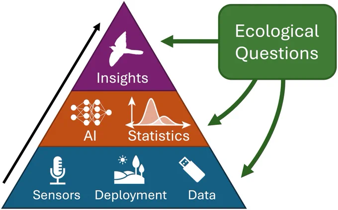 An overview of the six sequential stages of the sensors   AI pipeline. The first tier highlights data acquisition stages 1–3: Selecting sensor hardware, deploying sensors and aggregating and uploading data. The second tier highlights data analysis stages 4–5: Using AI and statistics to analyse the data. The top tier highlights stage 6: Insights about ecological phenomena. Each stage builds successively on the ones below it within the context of a single research project. Ecological questions inform the methodology for the bottom tiers of the pyramid, which ultimately determine the scientific insights the pipeline can produce, which themselves inform future ecological questions.