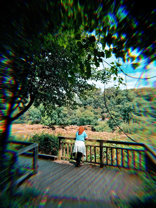 Cuningar Loop