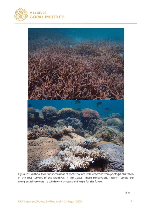 Page 3 of Maldives Coral Institute’s Call for protection of Goidhoo Atoll’s exceptional marine environment