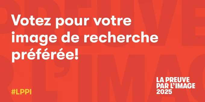 IMAGE : Arrière-plan rouge-vif incluant du lettrage agrandi en rouge foncé, avec en avant-plan, en haut: "Votez pour votre image de recherche préférée!" en blanc, puis le mot-clic officiel "LPPI" en jaune (à gauche) et le nom du concours "La preuve par l'image 2025" (à droite). 