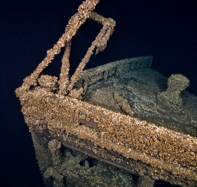 A detailed underwater image of the bow of the steamship Iona, encrusted with dense colonies of mussels. The shipwreck rests intact on the lakebed, with railings and structural features still visible.